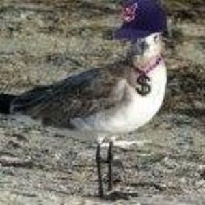 Meet your Posher, Ania